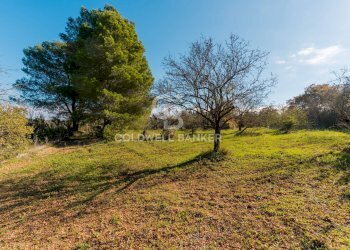 Foto 13 - Baita STRADA COMUNALE PARCO GRANDE
 
NC, Putignano - foto 13