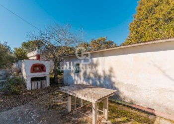 Foto 16 - Baita STRADA COMUNALE PARCO GRANDE
 
NC, Putignano - foto 16