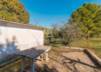 Foto 18 - Baita STRADA COMUNALE PARCO GRANDE
 
NC, Putignano - foto 18