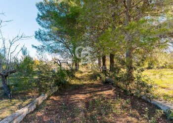 Foto 19 - Baita STRADA COMUNALE PARCO GRANDE
 
NC, Putignano - foto 19