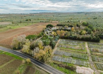 Foto 14 - Rustico Via Acquaviva
 
Snc, Cassano delle Murge - foto 14