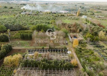 Foto 16 - Rustico Via Acquaviva
 
Snc, Cassano delle Murge - foto 16