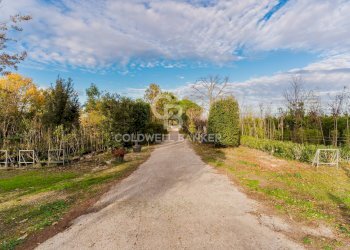 Foto 18 - Rustico Via Acquaviva
 
Snc, Cassano delle Murge - foto 18