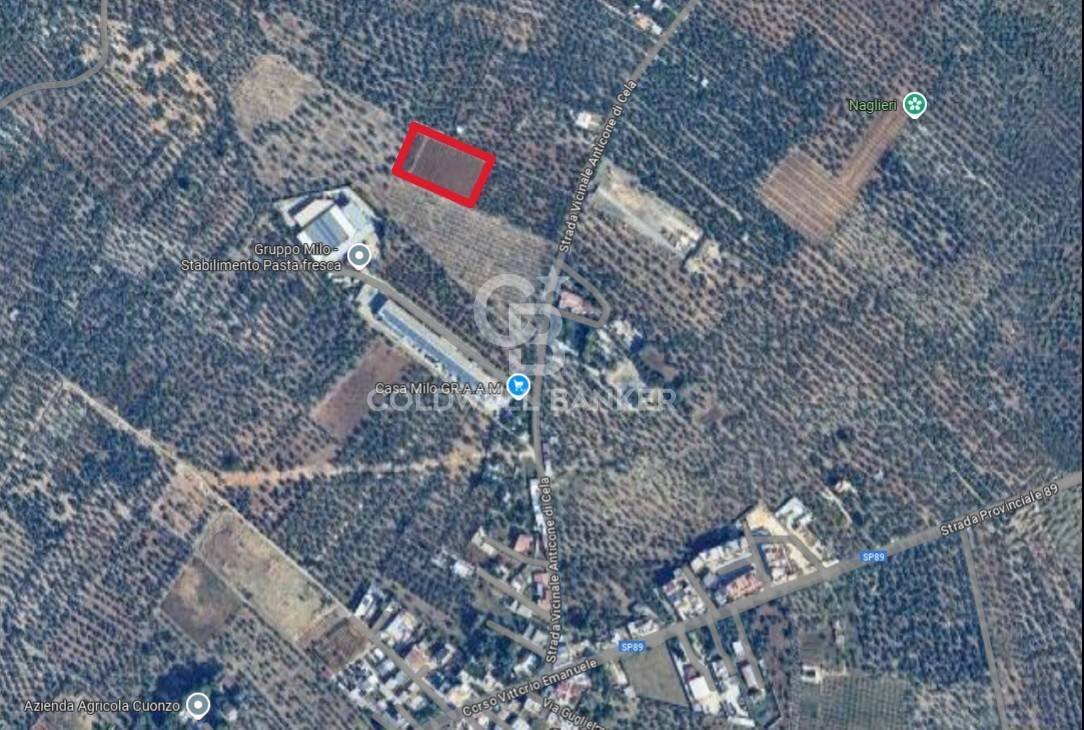 Foto 1 - Agricultural land Bitonto - photo 1