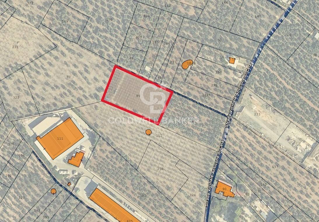 Foto 2 - Agricultural land Bitonto - floor plans 1