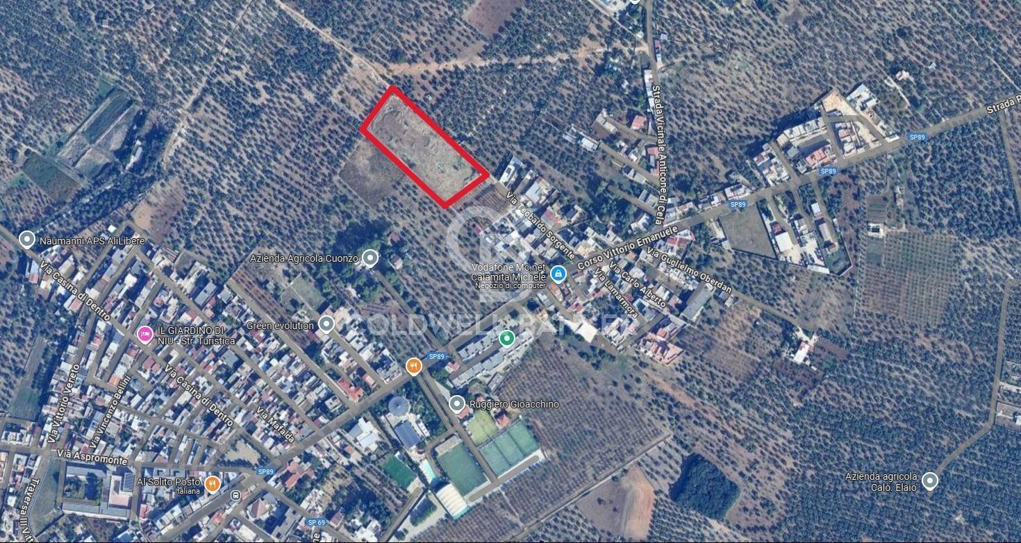 Foto 1 - Terreno agricolo Bitonto - foto 1