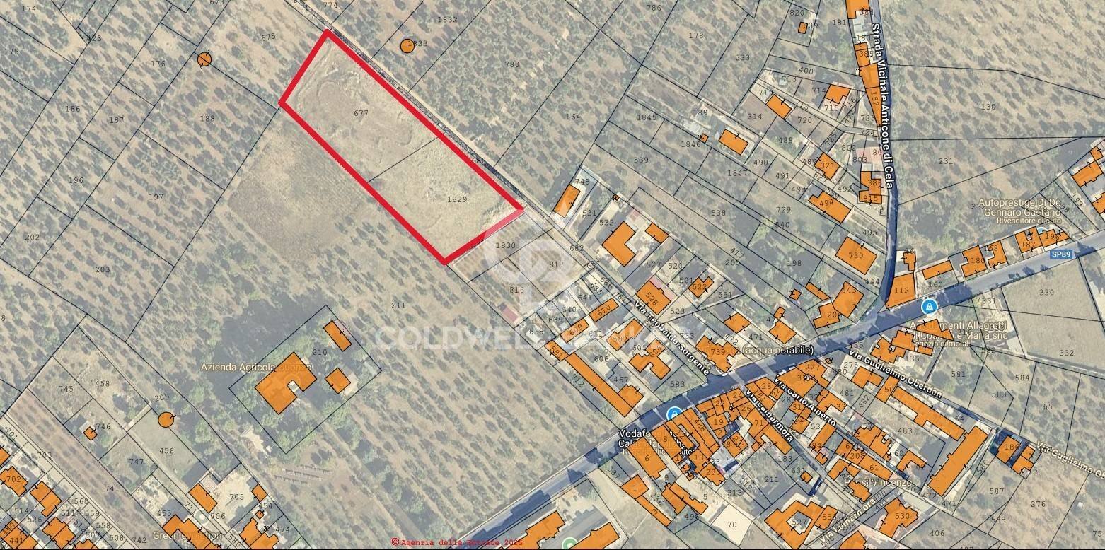 Foto 2 - Terreno agricolo Bitonto - foto 2