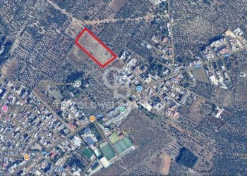 Foto 1 - Terreno agricolo Bitonto - foto 1