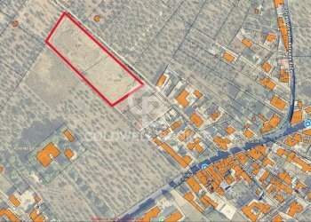 Foto 2 - Terreno agricolo Bitonto - foto 2