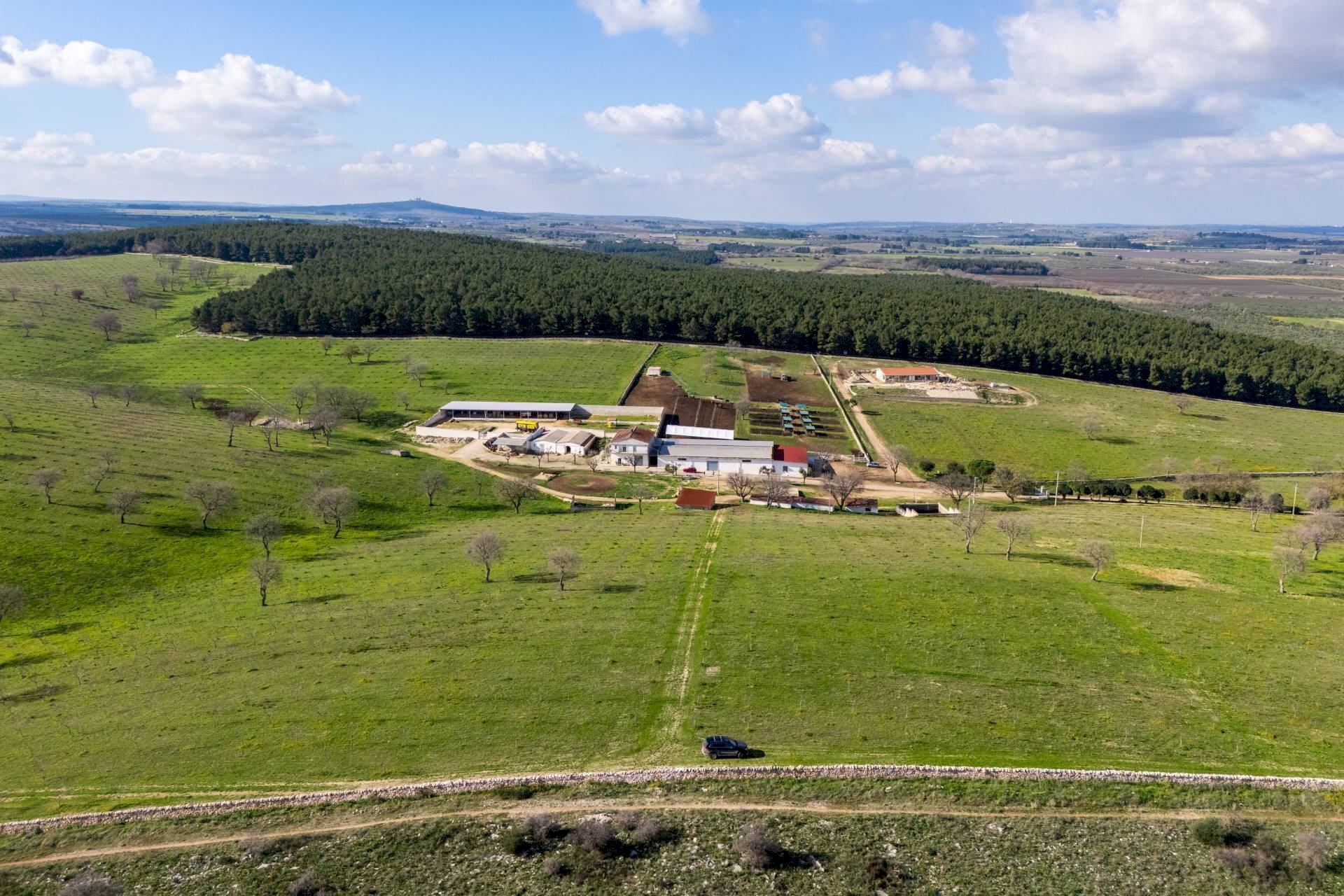 Foto 2 - Rustic Contrada Cicivizzo, Corato - photo 2