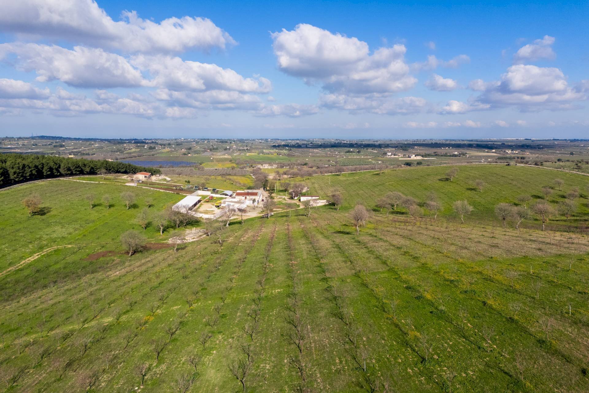 Foto 3 - Rustic Contrada Cicivizzo, Corato - photo 3