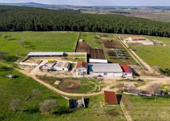 Foto 1 - Rustico Contrada Cicivizzo, Corato - foto 1