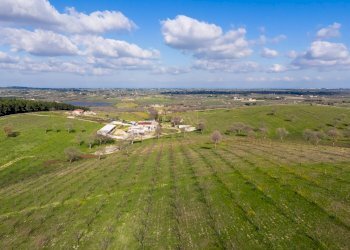 Foto 3 - Rustico Contrada Cicivizzo, Corato - foto 3