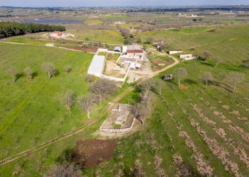 Foto 5 - Rustico Contrada Cicivizzo, Corato - foto 5