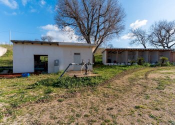 Foto 13 - Rustico Contrada Cicivizzo, Corato - foto 13