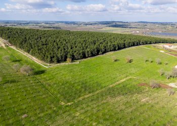 Foto 15 - Rustico Contrada Cicivizzo, Corato - foto 15