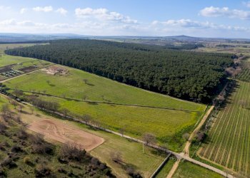 Foto 16 - Rustico Contrada Cicivizzo, Corato - foto 16