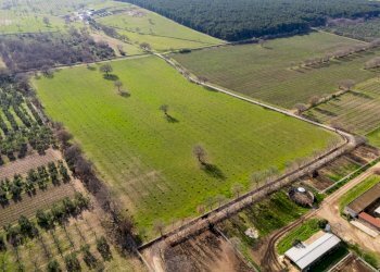 Foto 17 - Rustico Contrada Cicivizzo, Corato - foto 17