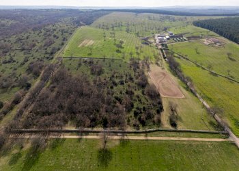 Foto 18 - Rustico Contrada Cicivizzo, Corato - foto 18