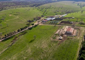 Foto 21 - Rustico Contrada Cicivizzo, Corato - foto 21