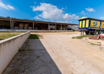 Foto 23 - Rustico Contrada Cicivizzo, Corato - foto 23