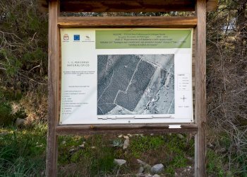 Foto 24 - Rustico Contrada Cicivizzo, Corato - foto 24