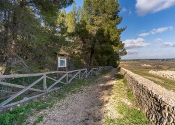 Foto 25 - Rustico Contrada Cicivizzo, Corato - foto 25