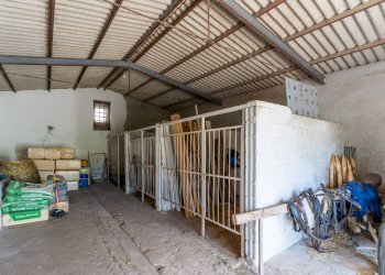 Foto 26 - Rustico Contrada Cicivizzo, Corato - foto 26