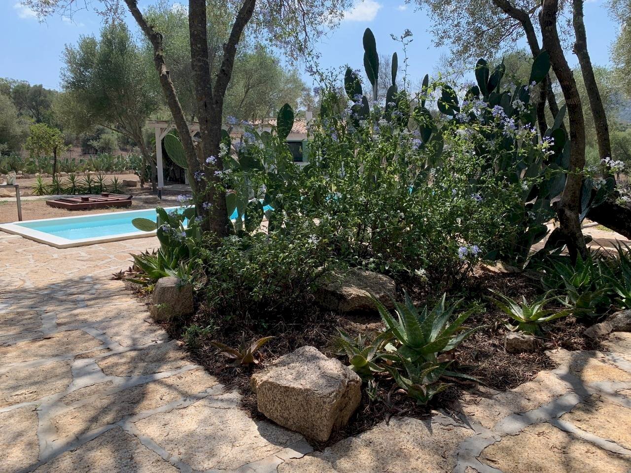 Foto 2 - Villa San Pantaleo Costa Smeralda
 
143, Olbia - foto 2