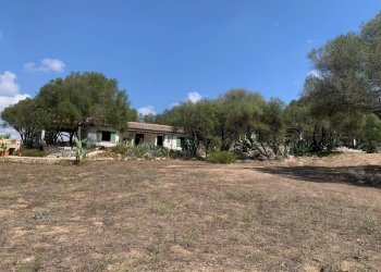 Foto 19 - Villa San Pantaleo Costa Smeralda
 
143, Olbia - foto 19
