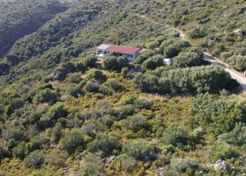 Foto 2 - Villa Loc.San Vittore - Lu Suiddatu
 
26, Olbia - foto 2