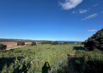 Foto 8 - Terreno edificabile Barrabisa, Palau - foto 8