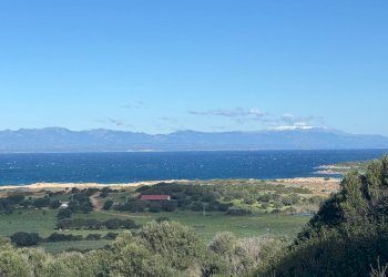 Foto 10 - Terreno edificabile Barrabisa, Palau - foto 10