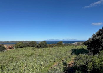 Foto 6 - Terreno edificabile Barrabisa, Palau - foto 6