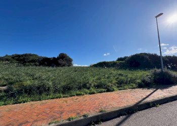 Foto 19 - Terreno edificabile Barrabisa, Palau - foto 19