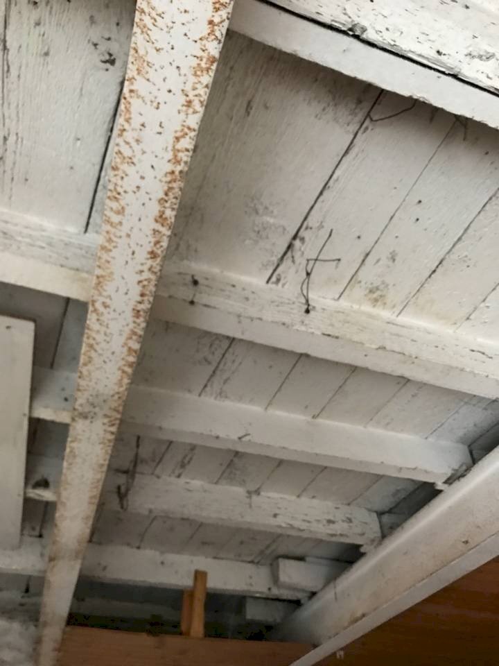 Foto 3 - Magazzino Ferrara - foto 3