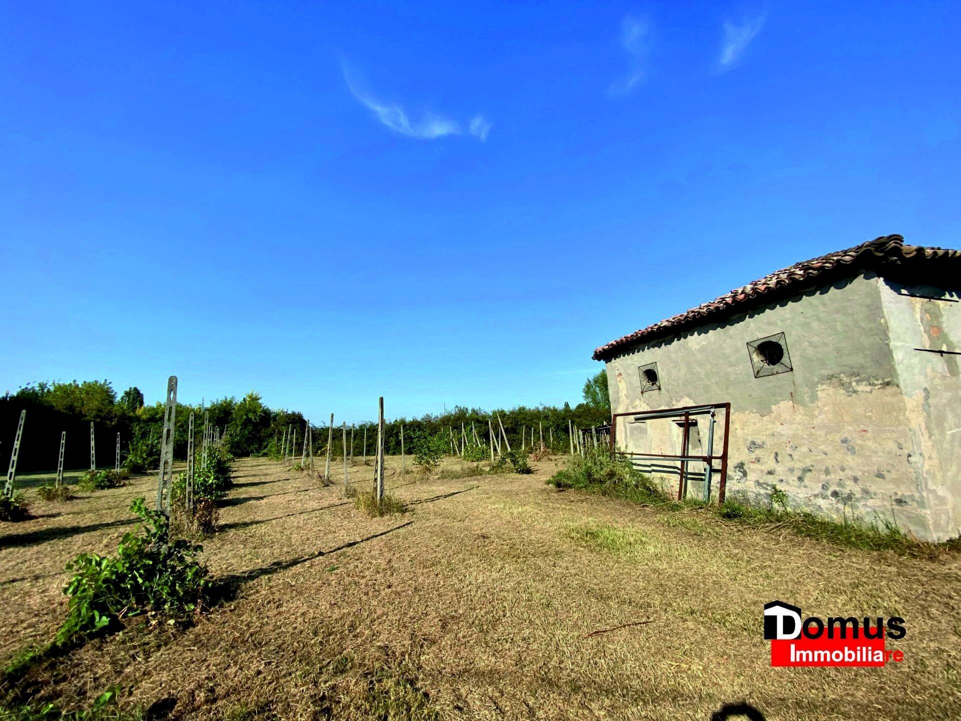 Foto 3 - Magazzino Copparo - foto 3