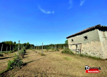 Foto 3 - Magazzino Copparo - foto 3