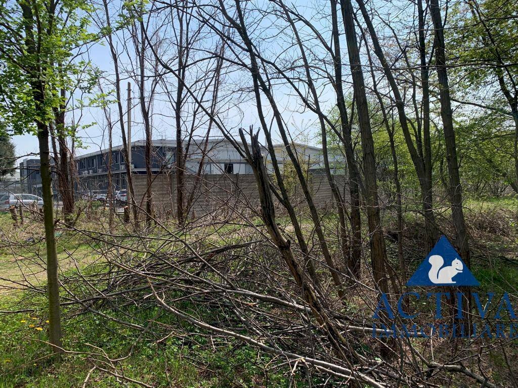 Foto 2 - Terreno agricolo Via D.Carabelli
 
9, Cassano Magnago - foto 2