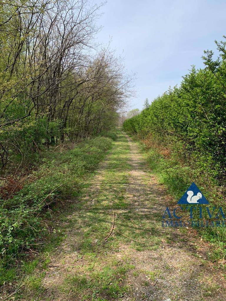 Foto 3 - Terreno agricolo Via D.Carabelli
 
9, Cassano Magnago - foto 3