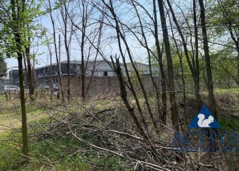 Foto 2 - Terreno agricolo Via D.Carabelli
 
9, Cassano Magnago - foto 2