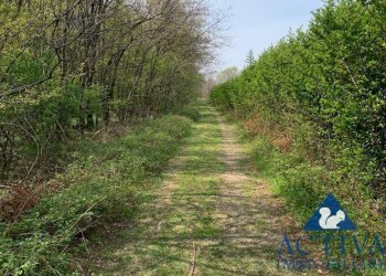 Foto 3 - Terreno agricolo Via D.Carabelli
 
9, Cassano Magnago - foto 3