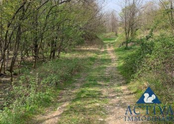 Foto 4 - Terreno agricolo Via D.Carabelli
 
9, Cassano Magnago - foto 4