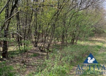 Foto 5 - Terreno agricolo Via D.Carabelli
 
9, Cassano Magnago - foto 5