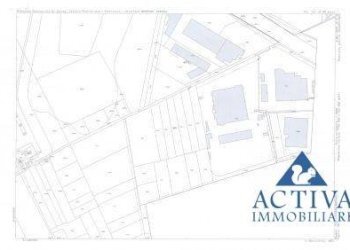 Foto 7 - Terreno agricolo Via D.Carabelli
 
9, Cassano Magnago - foto 7