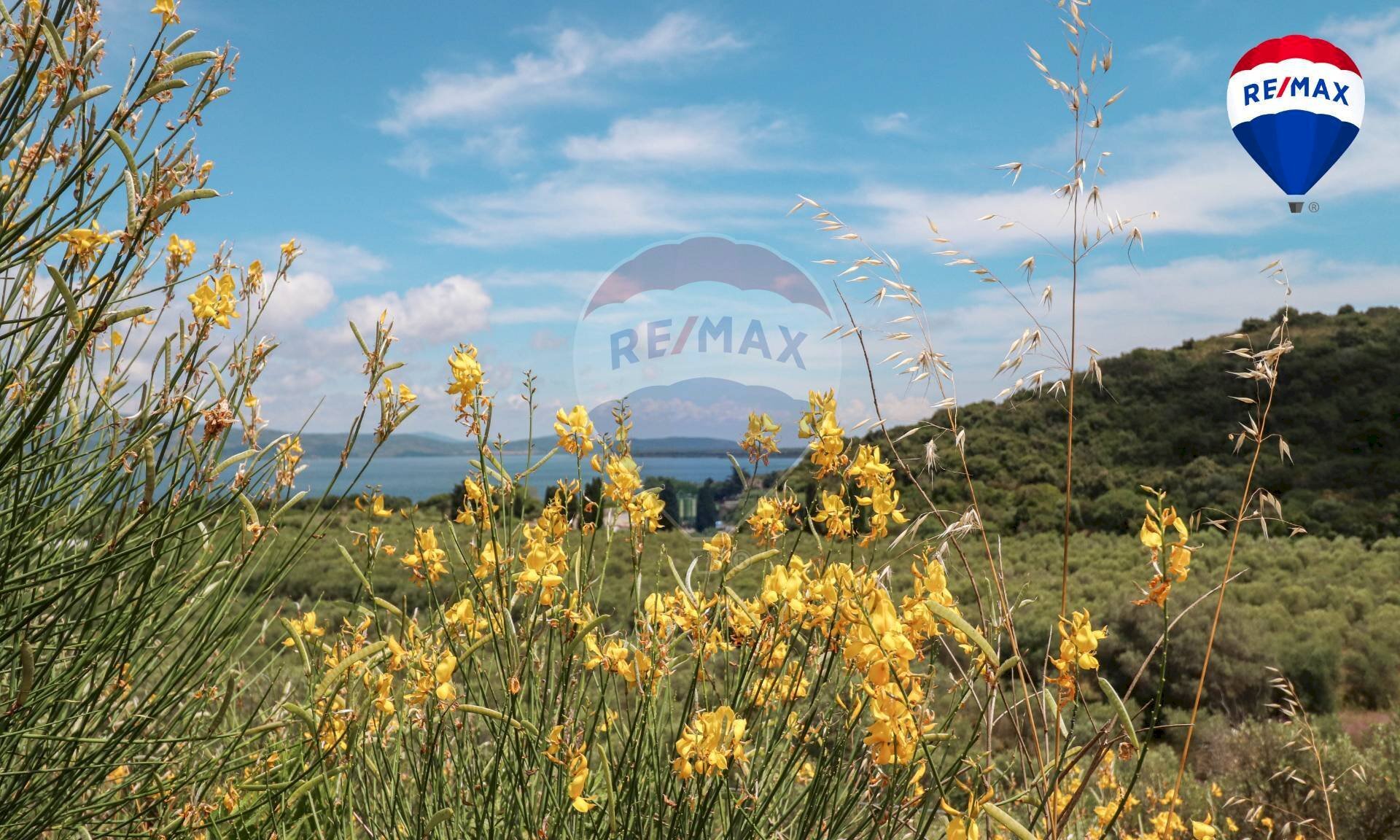 Vista delle montagne - Villa Via Acquedotto Leopoldino
 
36, Monte Argentario - foto 3