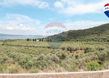 Vista delle montagne - Villa Via Acquedotto Leopoldino
 
36, Monte Argentario - photo 27