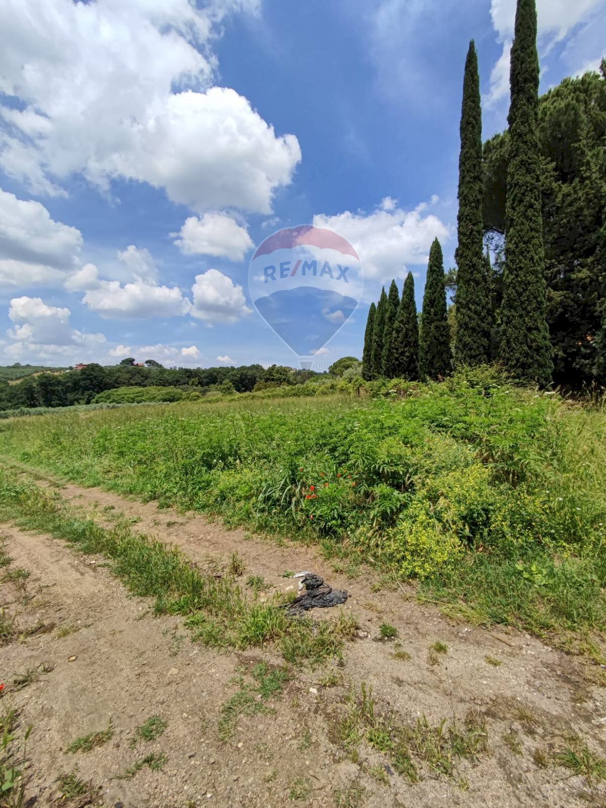 Giardino - Building land pascolaretto, Fonte Nuova - photo 2