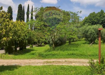 Giardino - Terreno edificabile pascolaretto, Fonte Nuova - foto 4