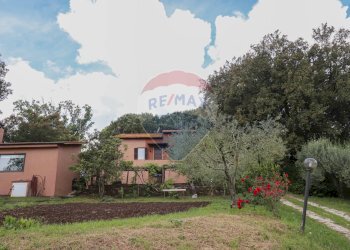 Casa all\'aperto - Rustico VICO MATRINO, Capranica - foto 9